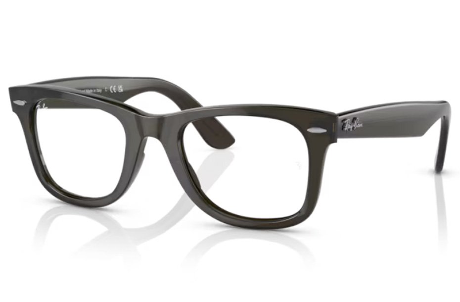 Ray-Ban Wayfarer Ease RX 4340V 8224