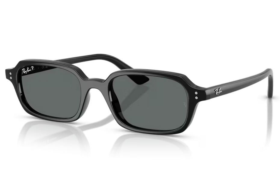 Ray-Ban Zuri RB 4455 667781